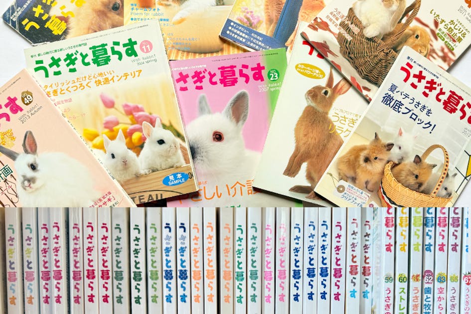 現在の進捗報告① - CAMPFIRE (キャンプファイヤー)