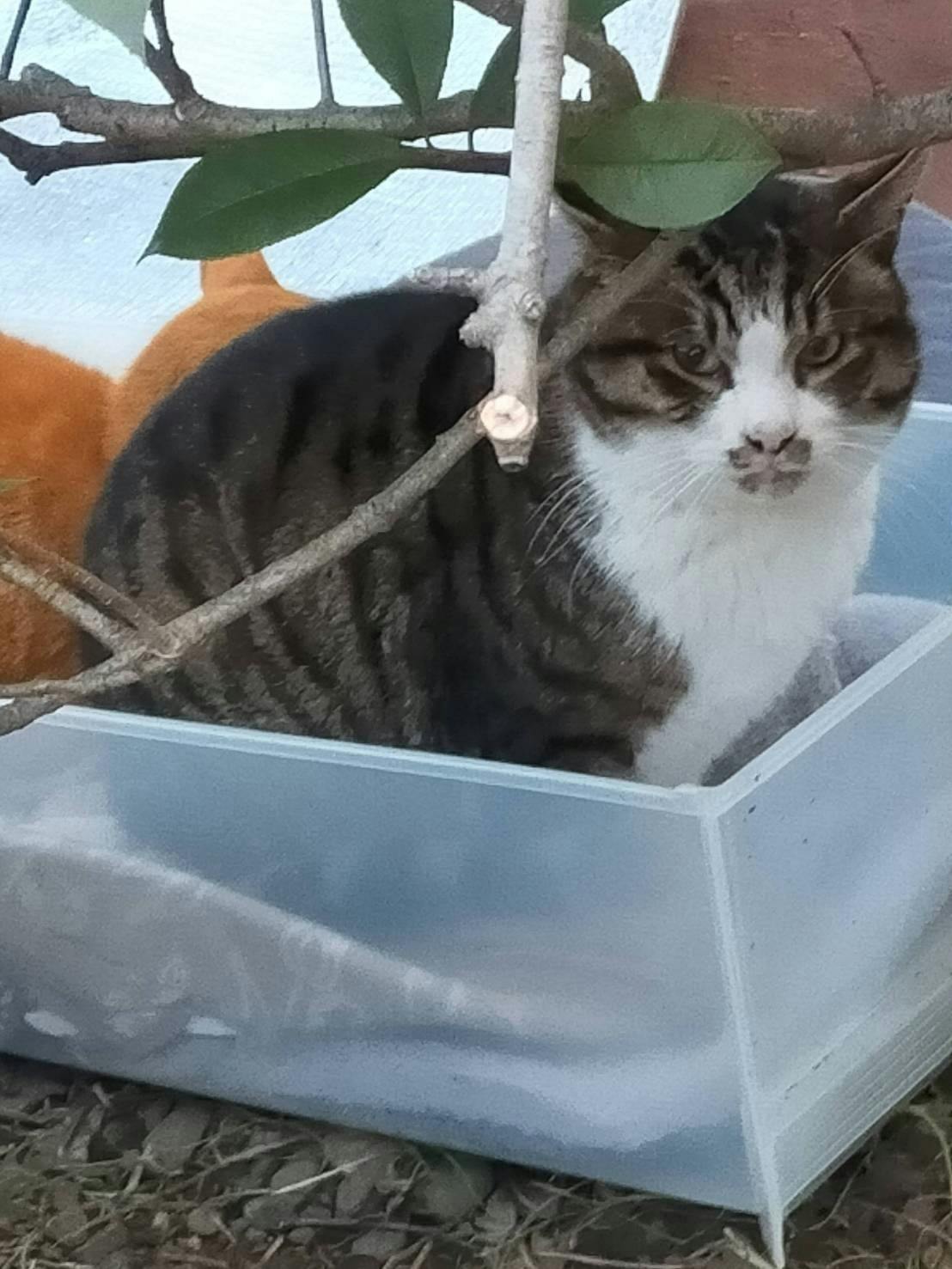 3番目のメイン画像