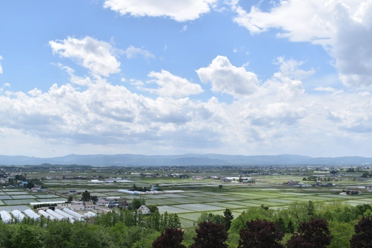 5番目のメイン画像