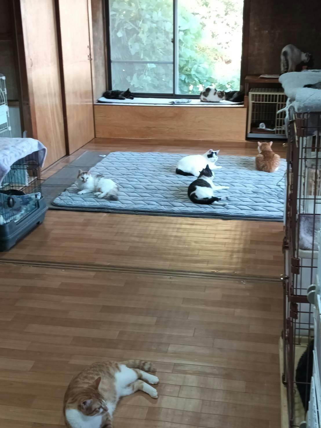 5番目のメイン画像