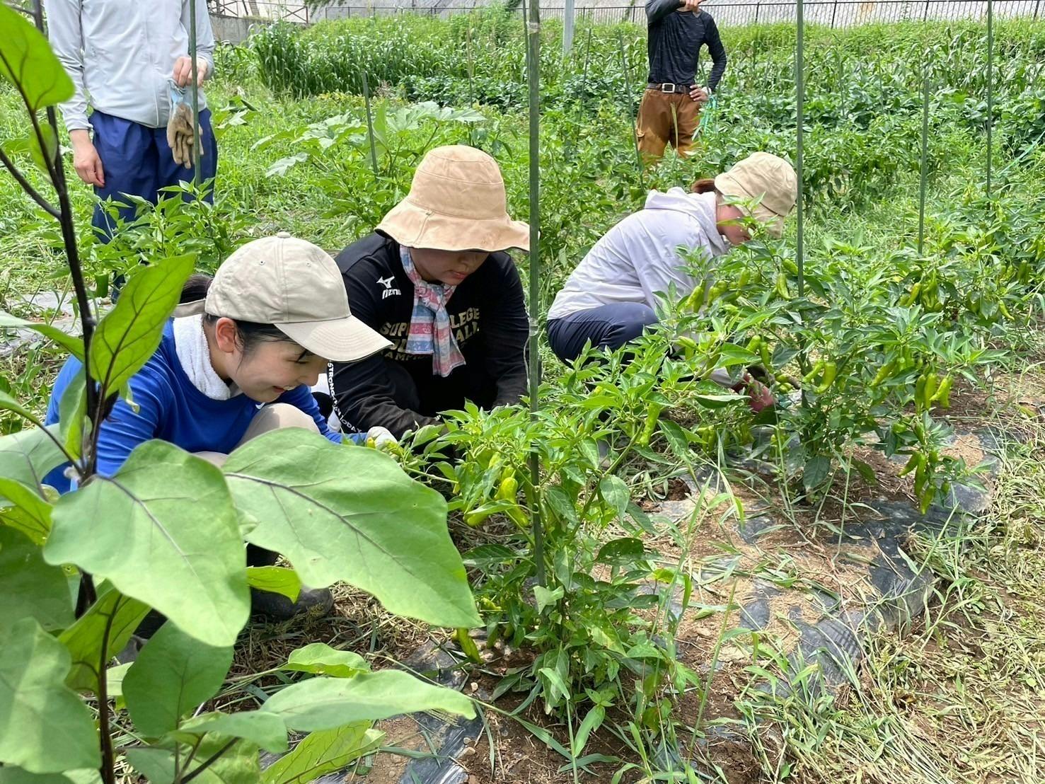 4番目のメイン画像