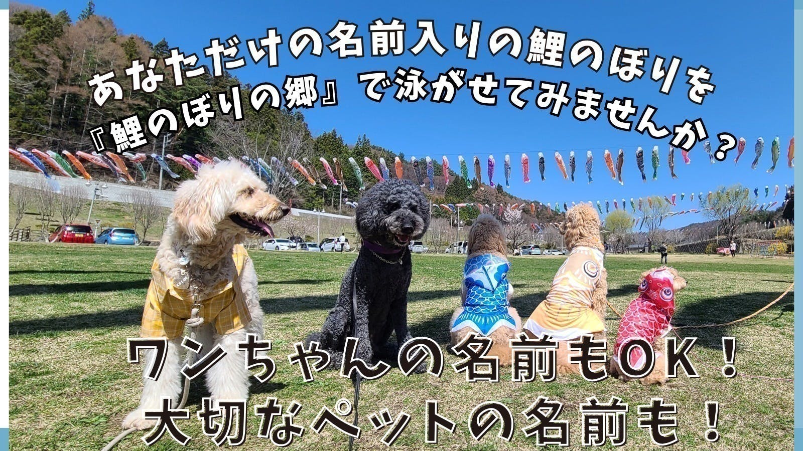 3番目のメイン画像