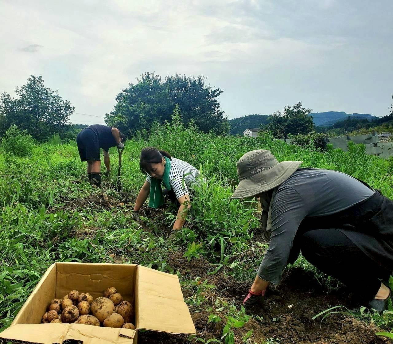 5番目のメイン画像