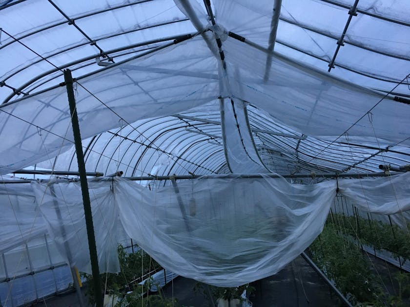 IMG_7746.JPG?fit=fill&w=1200&h