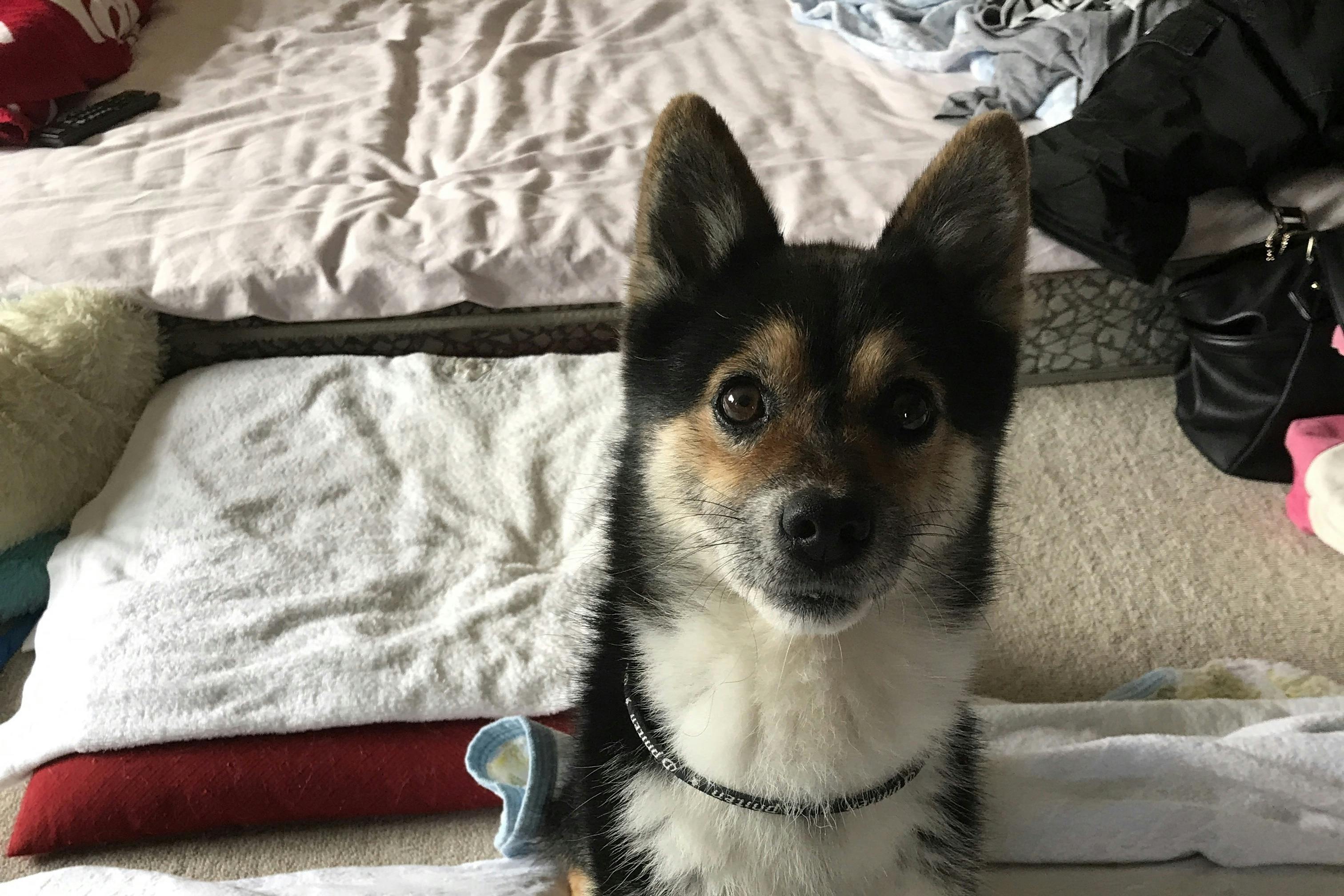 1番目のメイン画像