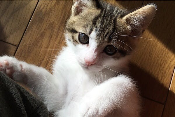 1番目のメイン画像