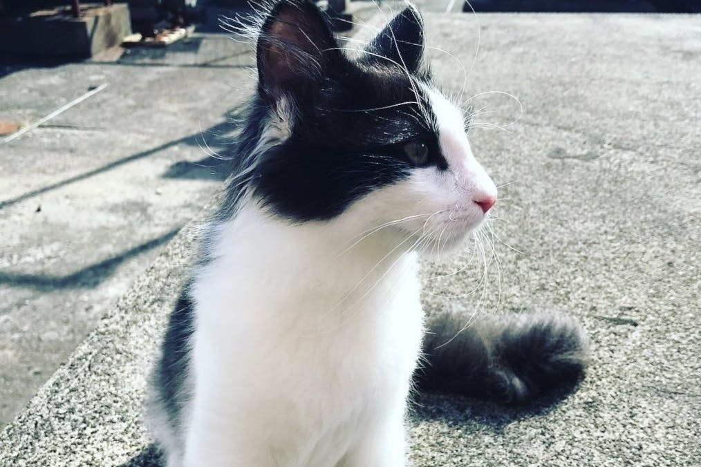 1番目のメイン画像