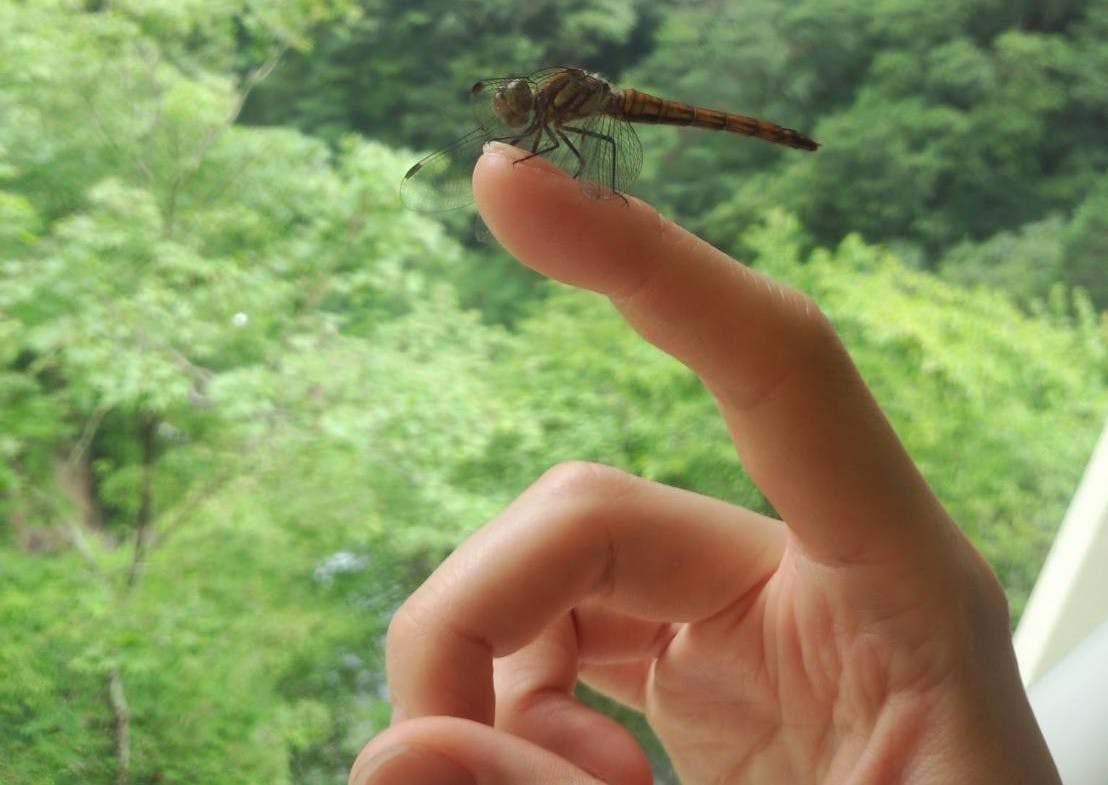 1番目のメイン画像