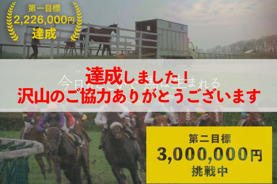 ＤＶＤ　今日もどこかで馬は生まれる 今日もどこかで馬は生まれる 【図書館用 団体貸出権付】 | 【BBB