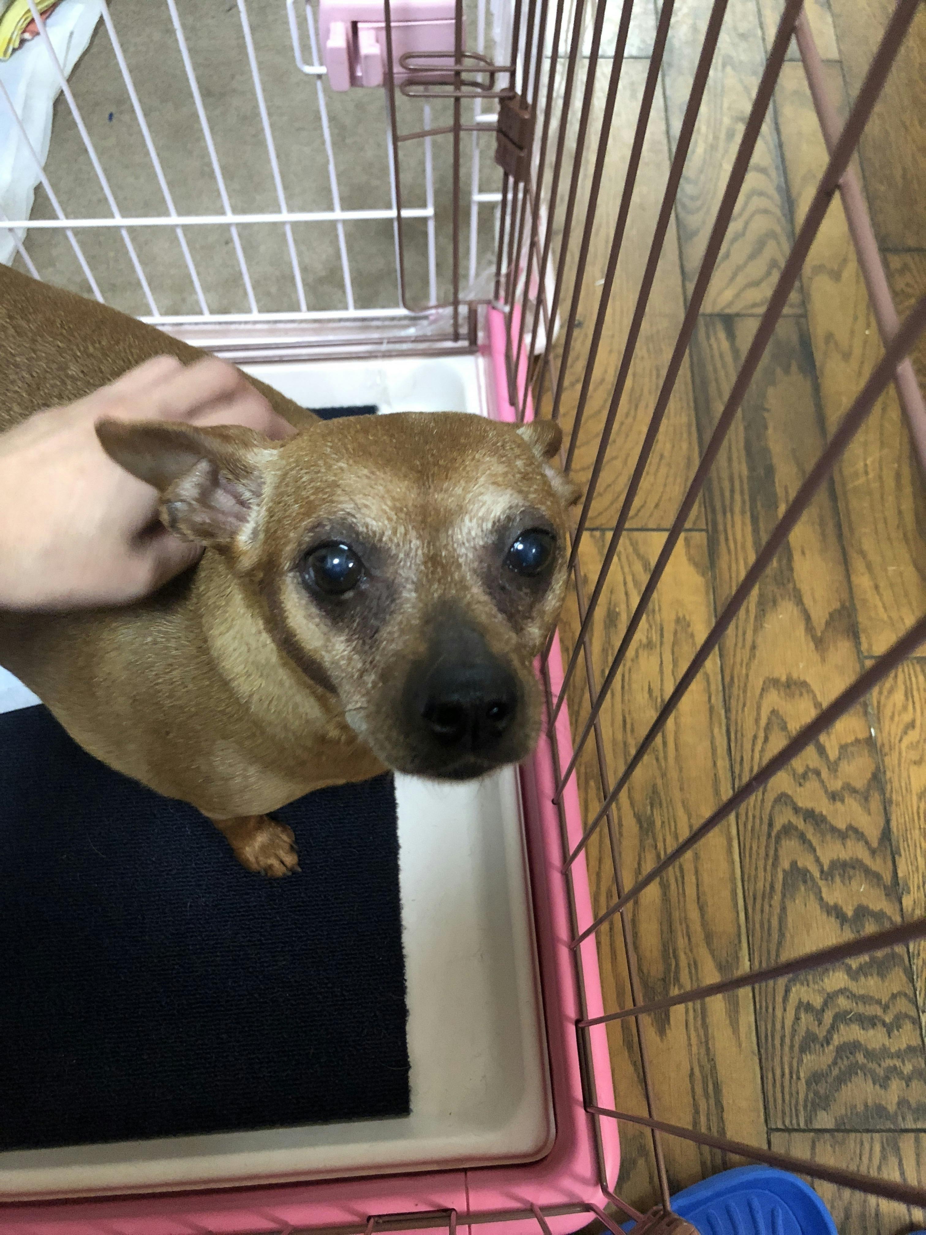 2番目のメイン画像