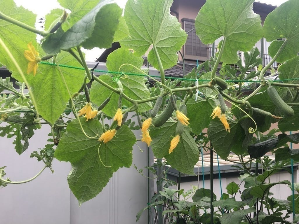 5番目のメイン画像