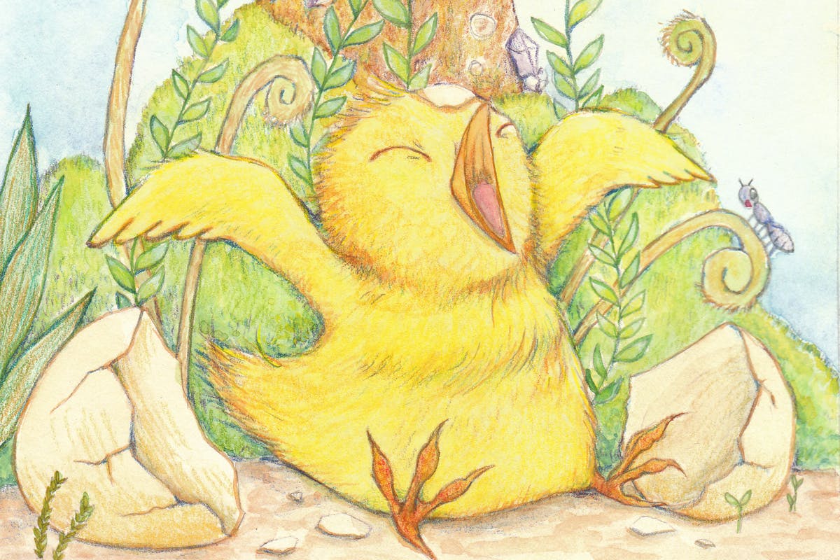 4番目のメイン画像