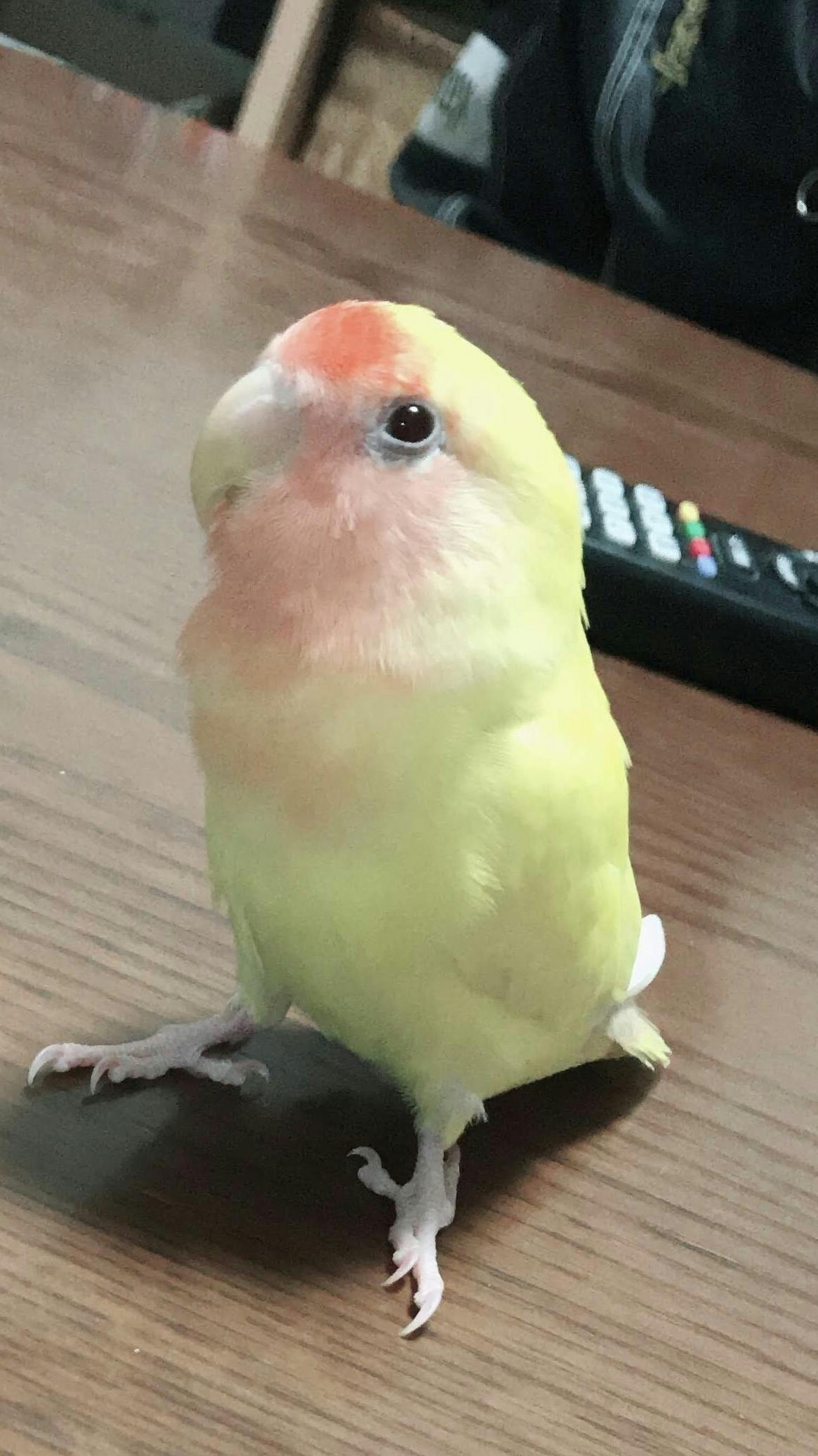 4番目のメイン画像