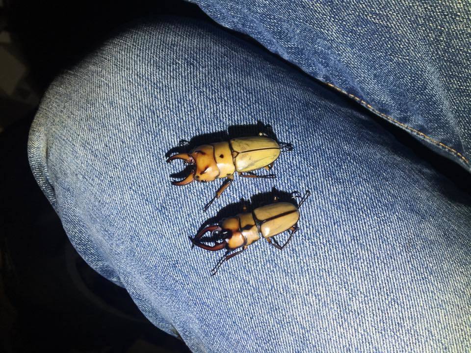 2番目のメイン画像