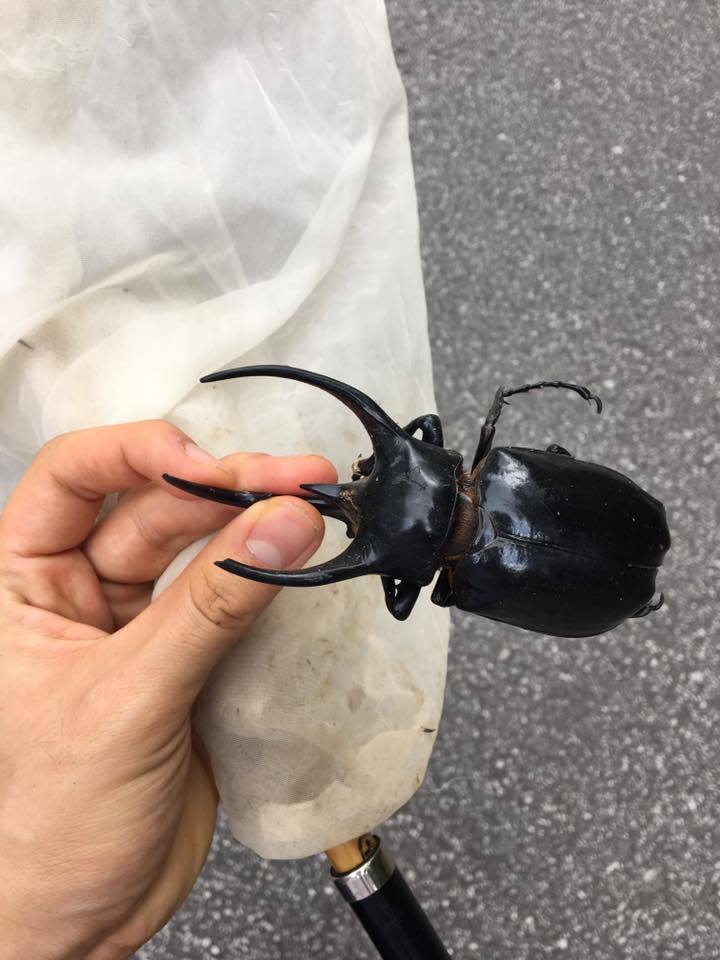 3番目のメイン画像