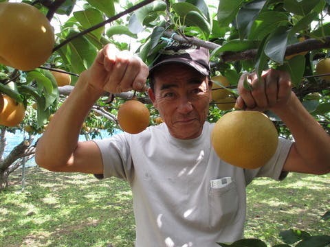 3番目のメイン画像