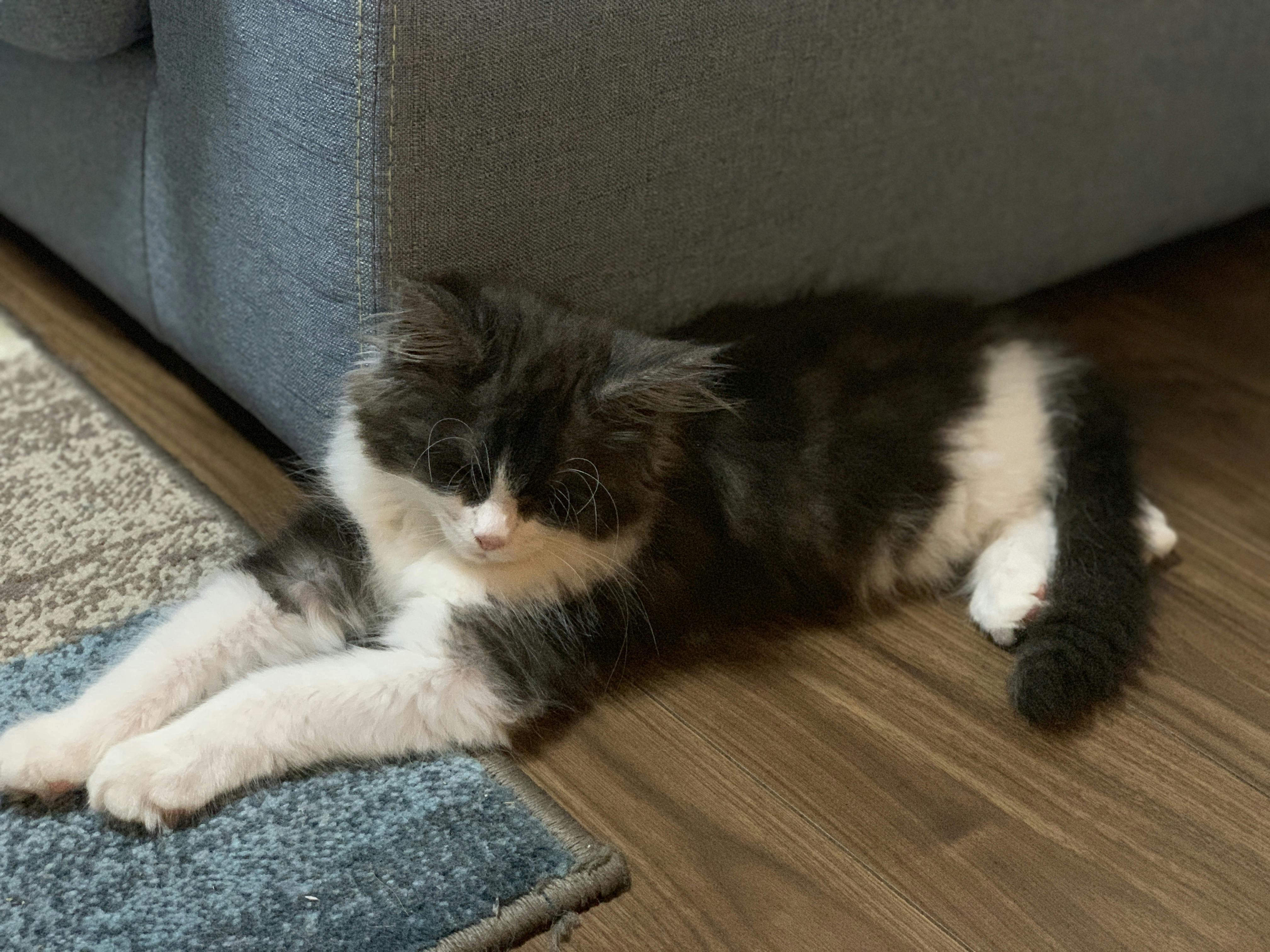 5番目のメイン画像