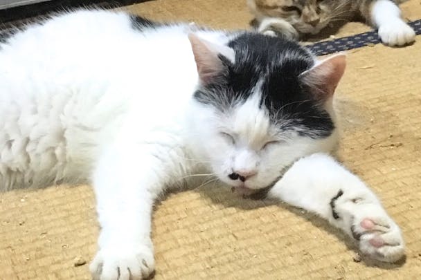 1番目のメイン画像