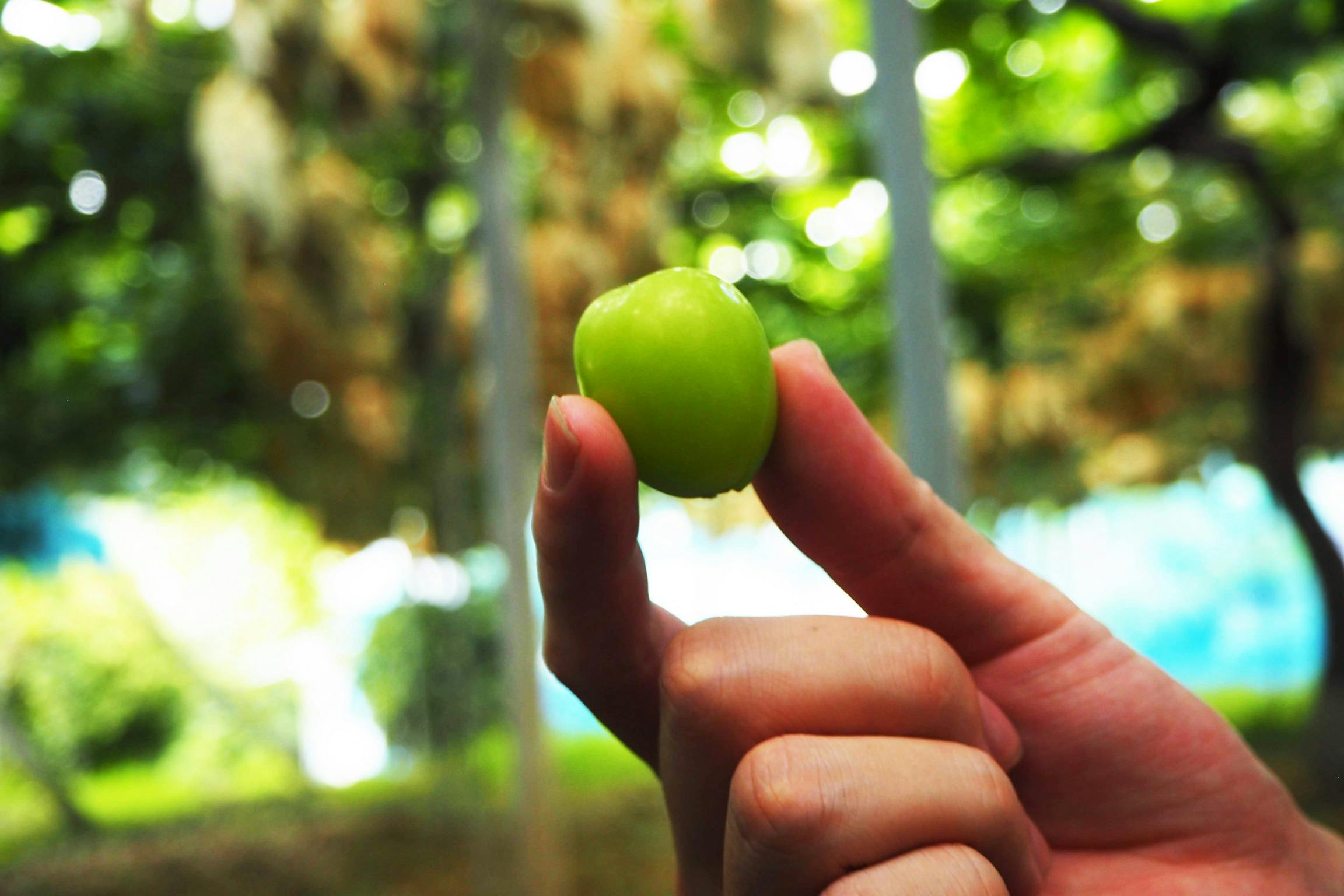 5番目のメイン画像