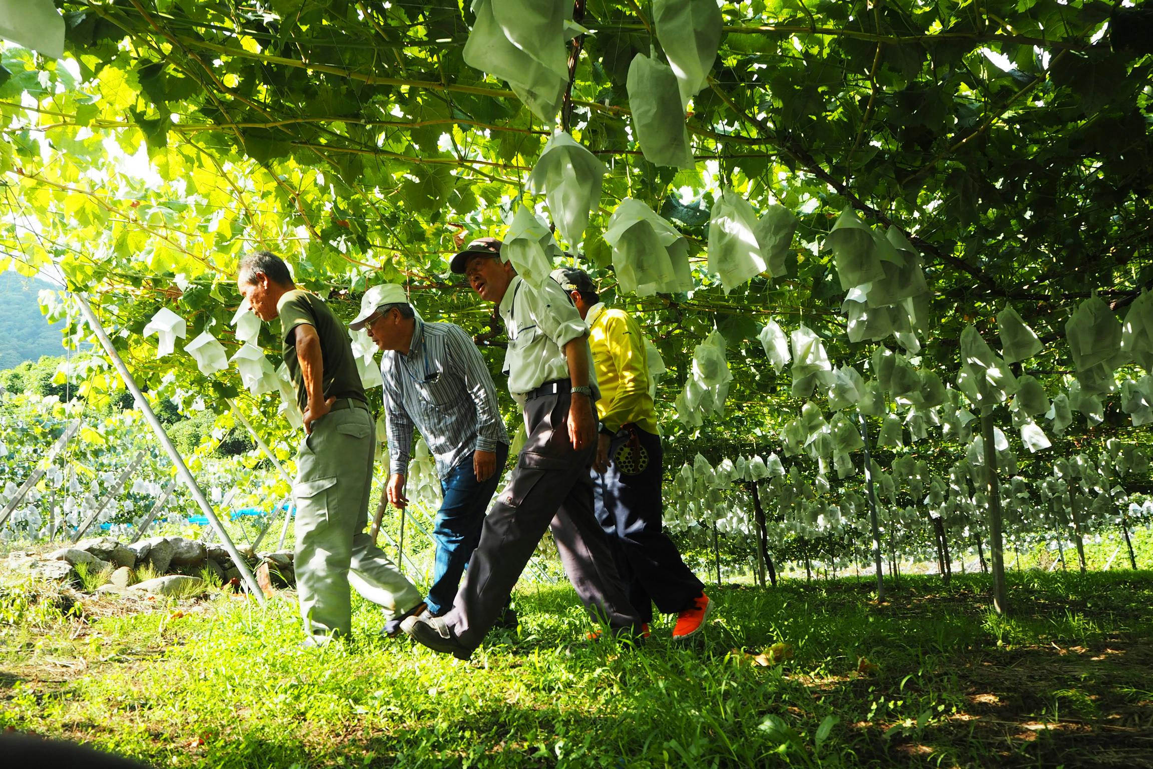 4番目のメイン画像