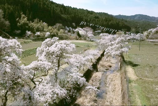 1番目のメイン画像