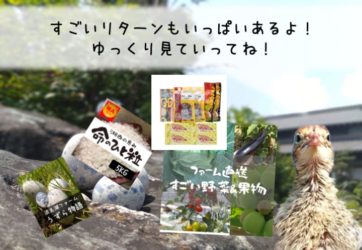 5番目のメイン画像