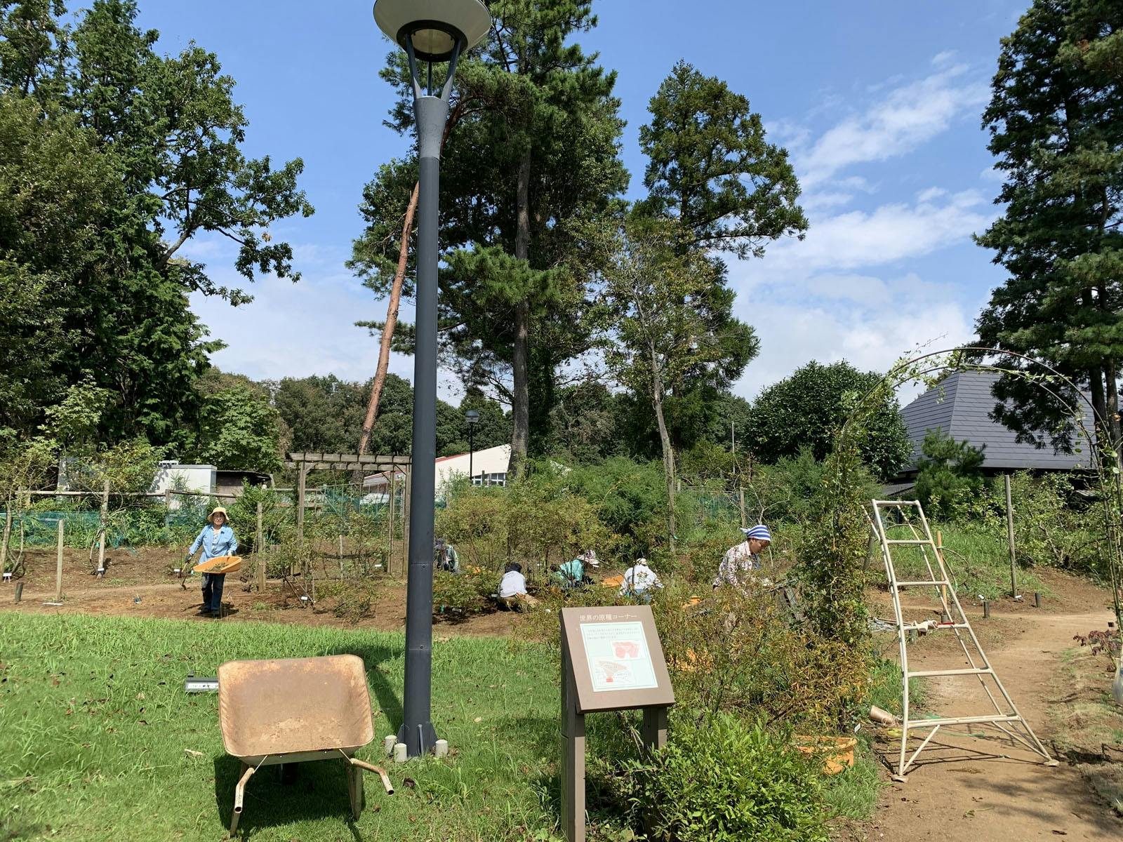 5番目のメイン画像