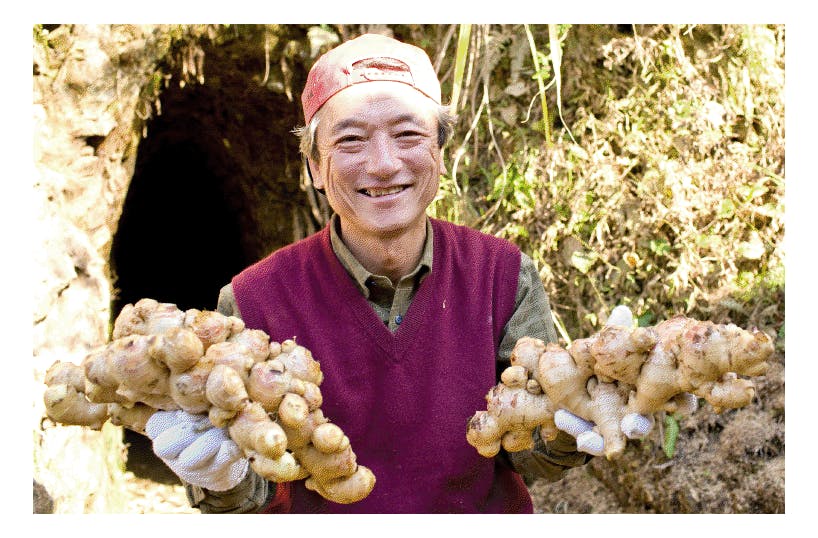 4番目のメイン画像