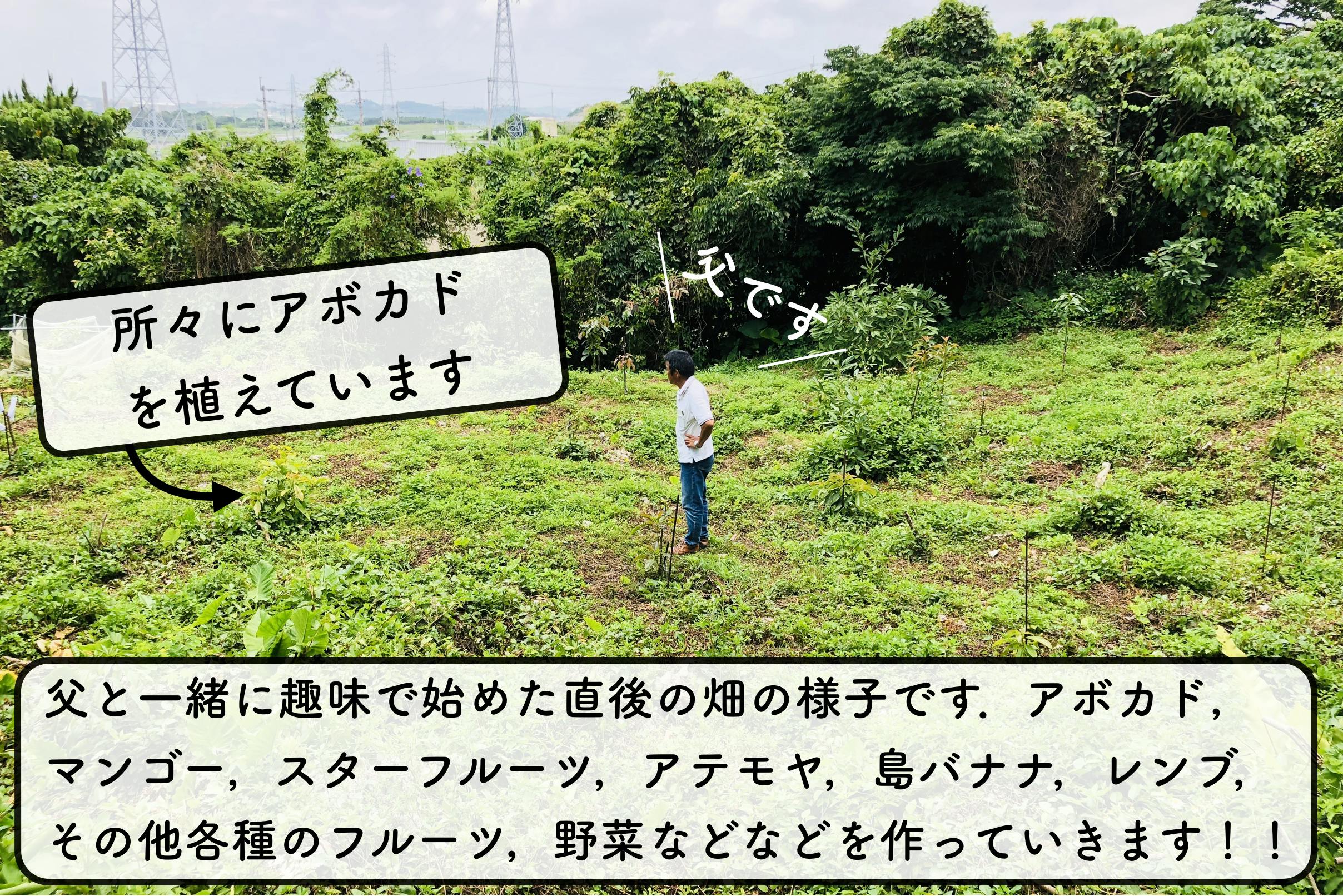 2番目のメイン画像