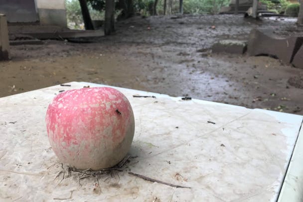 1番目のメイン画像