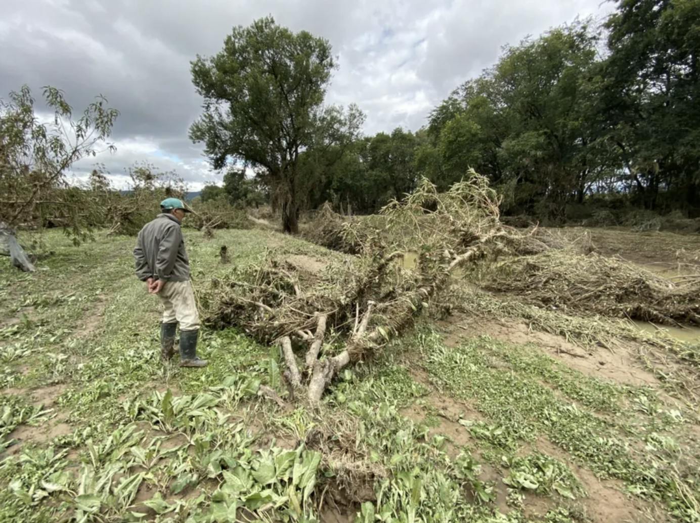 4番目のメイン画像