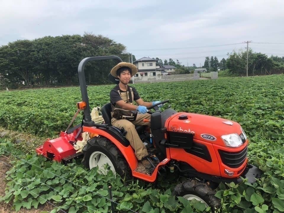 5番目のメイン画像