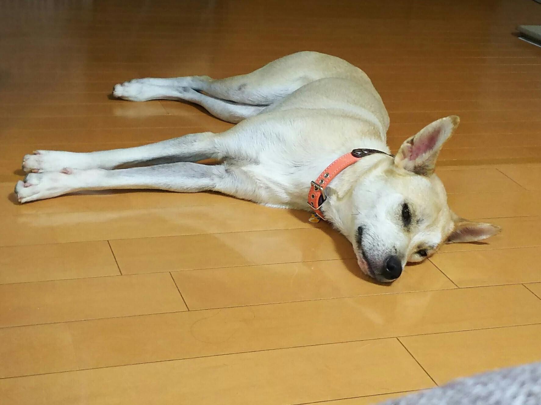 2番目のメイン画像