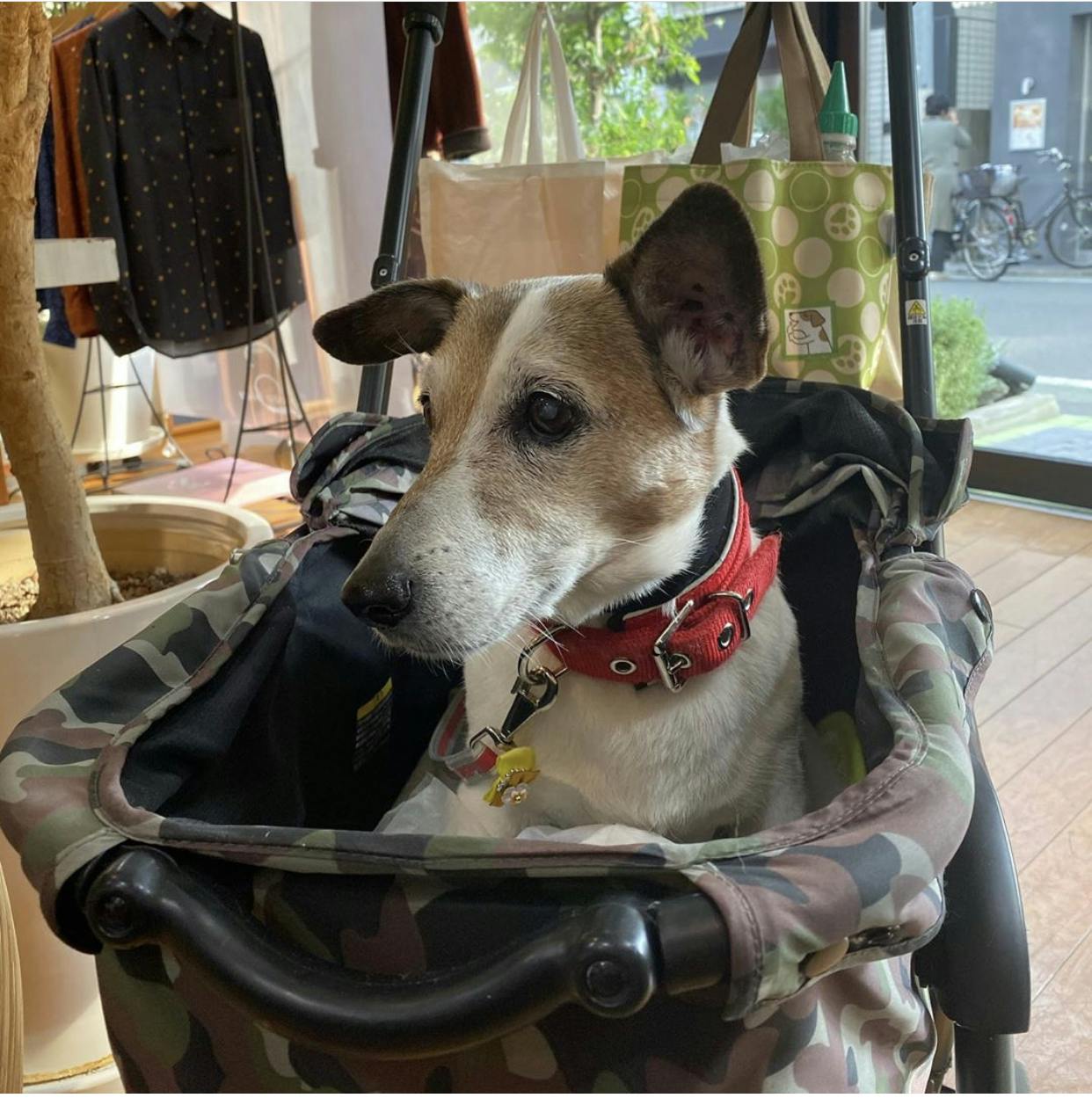 4番目のメイン画像