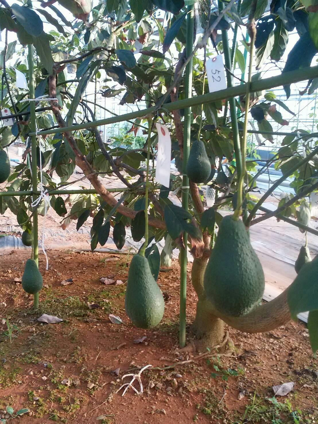 4番目のメイン画像