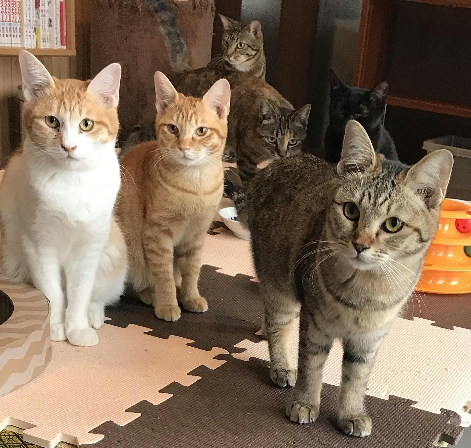 3番目のメイン画像