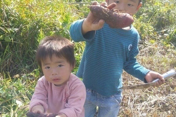 3番目のメイン画像