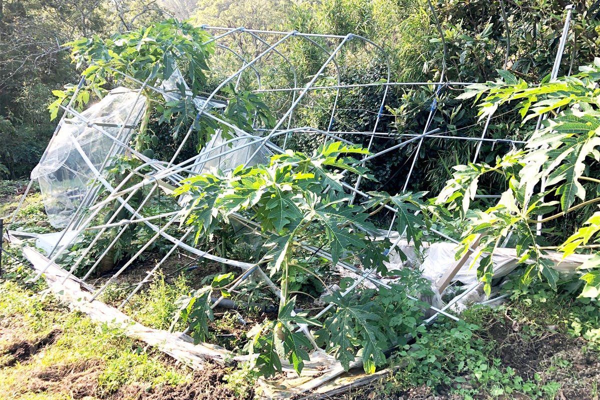 4番目のメイン画像