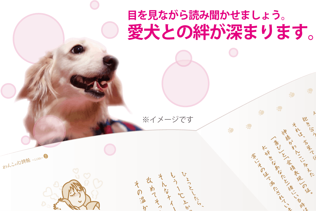 5番目のメイン画像