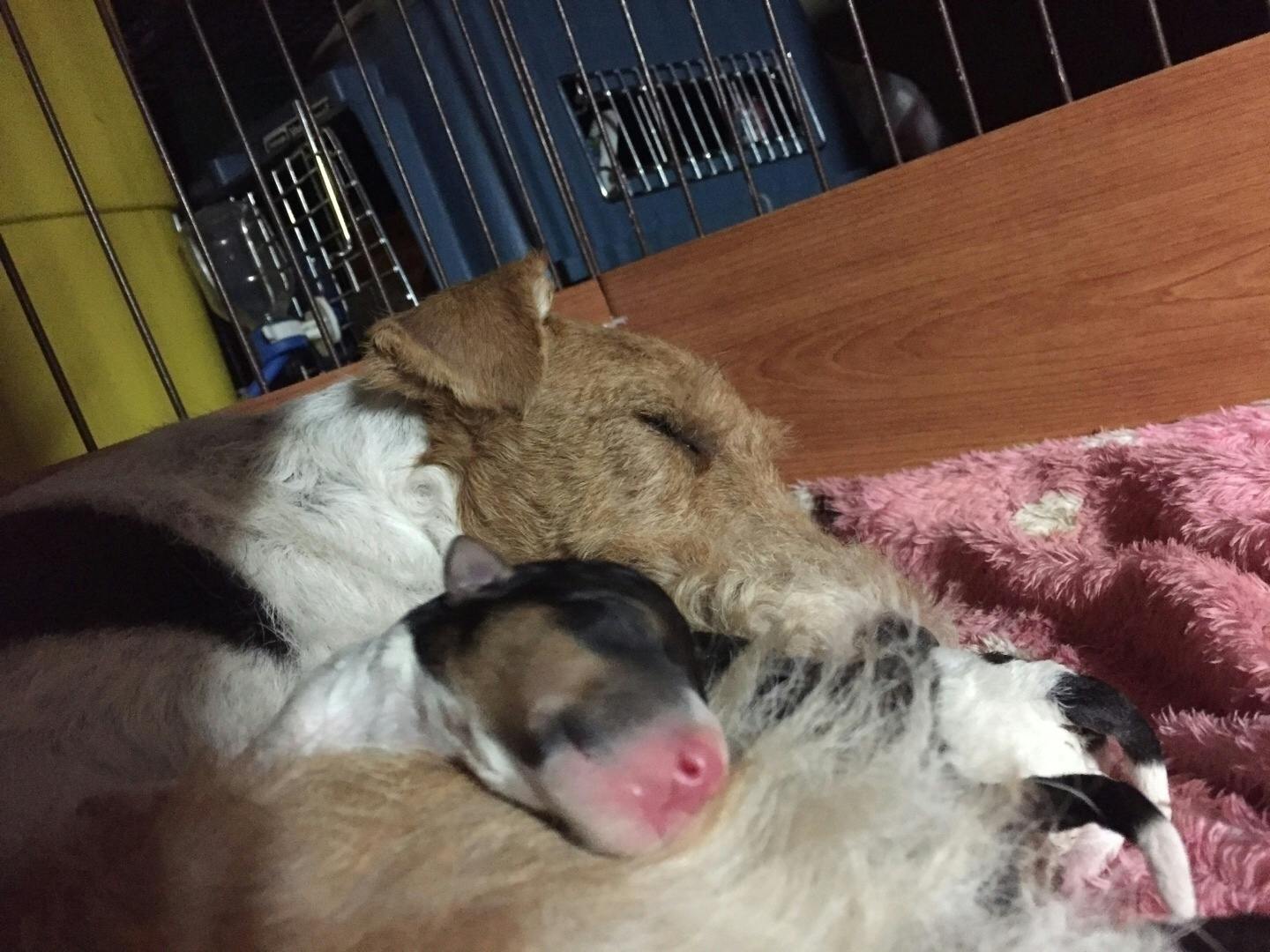 4番目のメイン画像