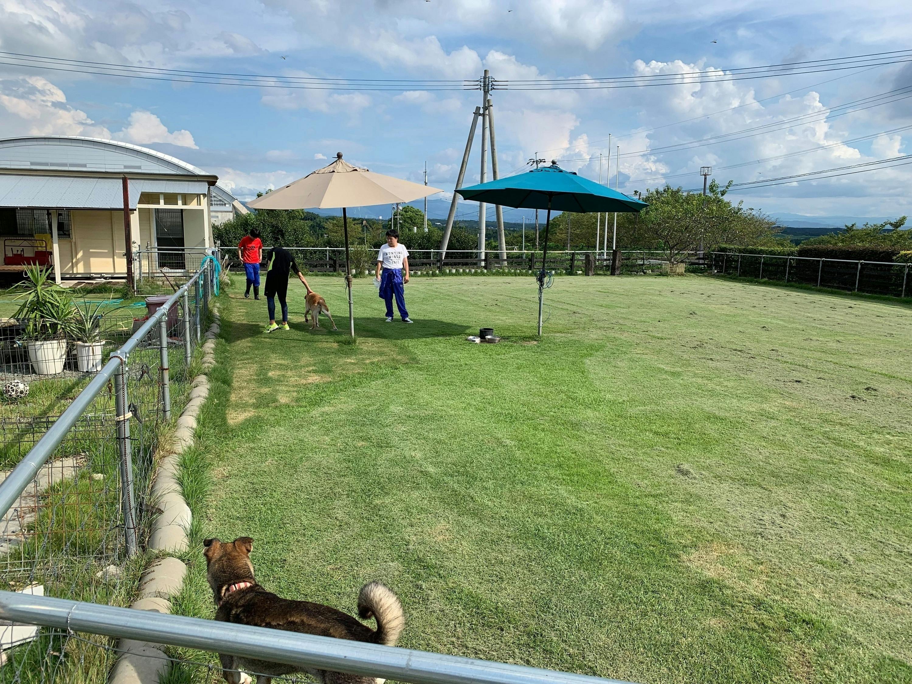 5番目のメイン画像