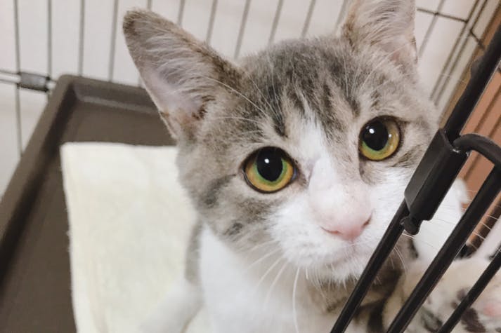 1番目のメイン画像