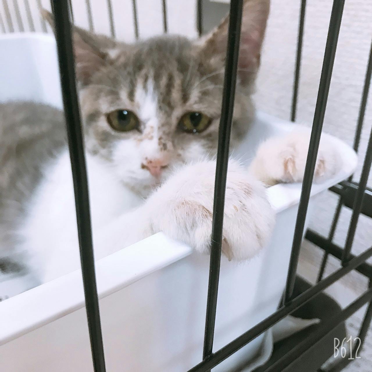 3番目のメイン画像