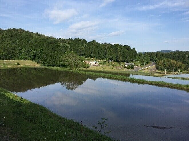 2番目のメイン画像