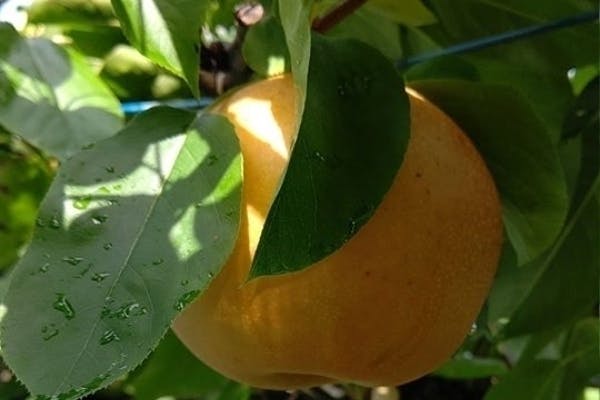 1番目のメイン画像