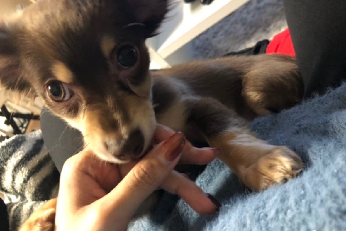 1番目のメイン画像