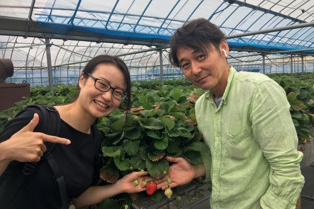 3番目のメイン画像