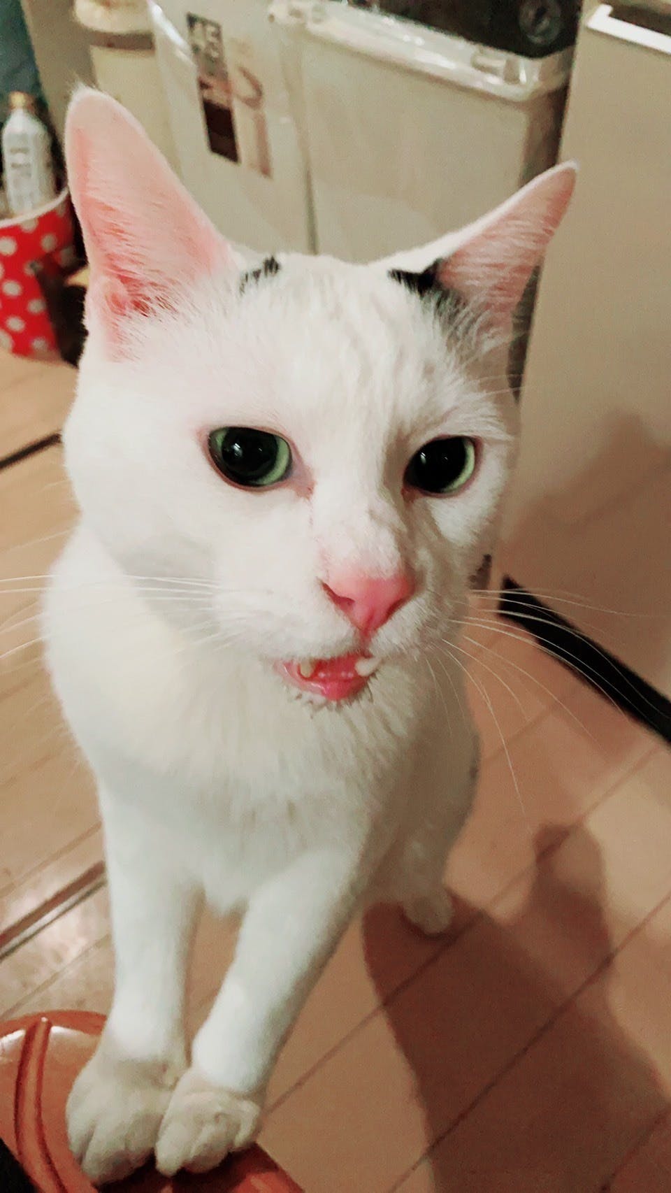 3番目のメイン画像