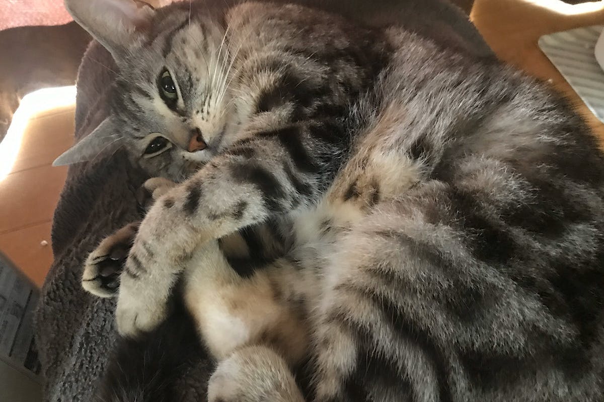 4番目のメイン画像