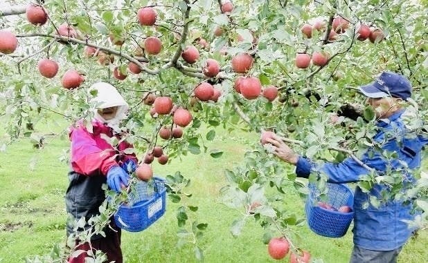 5番目のメイン画像